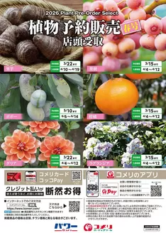 越生町でのコメリのカタログ | 植物予約販売 春号 | 2026-01-28T00:00:00.000Z - 2026-05-10T00:00:00.000Z