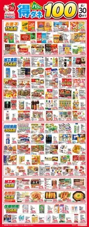 ハーベスのカタログ | 得ダネパワー100 | 2026-03-31T00:00:00.000Z - 2026-04-30T00:00:00.000Z