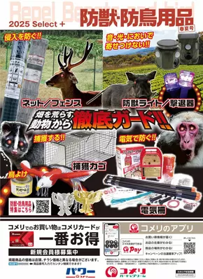長門市でのコメリのカタログ | 防獣・防鳥用品 | 2025-04-02T00:00:00.000Z - 2025-09-30T00:00:00.000Z