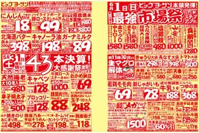 ビッグヨーサンのカタログ | ビッグヨーサン チラシ | 2025-05-30T00:00:00.000Z - 2025-06-01T00:00:00.000Z