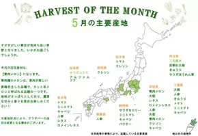 さいたま市でのシズラーのカタログ | シズラー チラシ | 2025-06-01T00:00:00.000Z - 2025-07-01T00:00:00.000Z