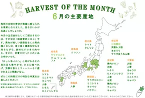 文京区でのシズラーのカタログ | シズラー チラシ | 2025-06-02T00:00:00.000Z - 2025-07-02T00:00:00.000Z