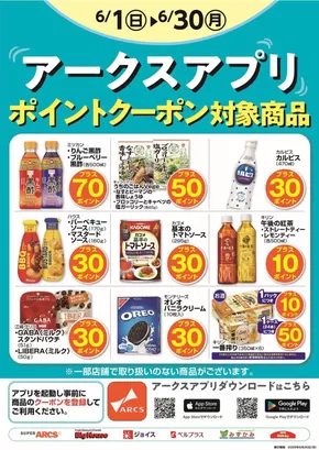 ビッグハウスのカタログ | ビッグハウス チラシ | 2025-06-04T00:00:00.000Z - 2025-06-30T00:00:00.000Z