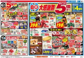 生協ひろしまのカタログ | 6/8(日)は大感謝祭！冷食４割引＆ポイント５倍デー | 2025-06-05T00:00:00.000Z - 2025-06-12T00:00:00.000Z