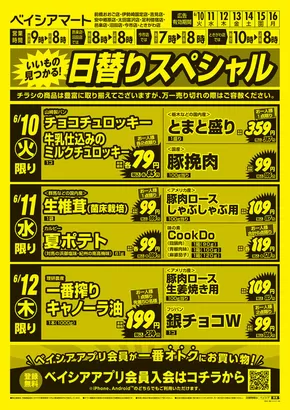 栃木市でのベイシアのカタログ | 6/10号 日替りスペシャル | 2025-06-10T00:00:00.000Z - 2025-06-16T00:00:00.000Z