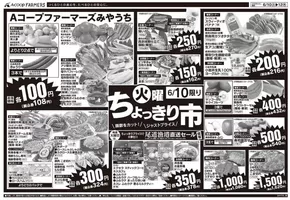 Aコープ西日本のカタログ | 掘り出し物ハンターのためのオファー | 2025-06-10T00:00:00.000Z - 2025-06-12T00:00:00.000Z