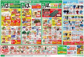 仙台市でのみやぎ生活協同組合のカタログ | チラシ | 2025-06-12T00:00:00.000Z - 2025-06-15T00:00:00.000Z