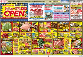 吾妻郡でのベイシアのカタログ | 6/11折込 ベイシアフーズパーク前橋モール店リニューアルOPEN第2弾協賛セール | 2025-06-11T00:00:00.000Z - 2025-06-17T00:00:00.000Z