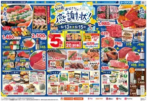 生協ひろしまのカタログ | 6/15(日)父の日はオトクがいっぱい！ポイント５倍＆コプカチャージの日！ | 2025-06-12T00:00:00.000Z - 2025-06-19T00:00:00.000Z