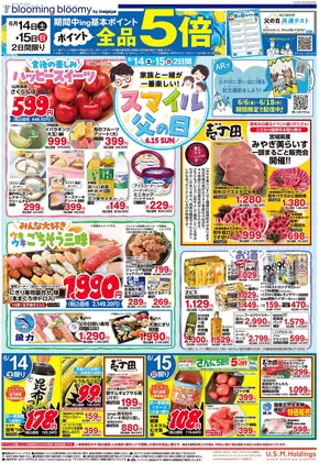 いなげやのカタログ | 掘り出し物ハンターのための素晴らしいオファー | 2025-06-14T00:00:00.000Z - 2025-06-17T00:00:00.000Z