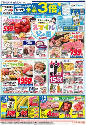 いなげやのカタログ | すべてのお客様のためのトップディール | 2025-06-14T00:00:00.000Z - 2025-06-17T00:00:00.000Z