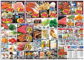 ウオロクのカタログ | 現在の特別プロモーション | 2025-06-14T00:00:00.000Z - 2025-06-16T00:00:00.000Z