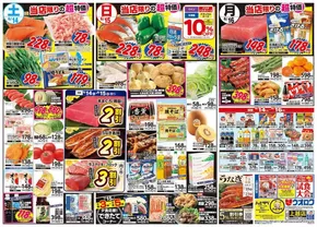 ウオロクのカタログ | 選ばれた製品の素晴らしい割引 | 2025-06-14T00:00:00.000Z - 2025-06-16T00:00:00.000Z