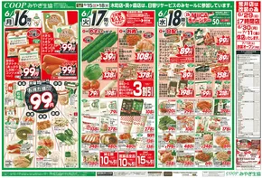 みやぎ生活協同組合のカタログ | 私たちのお客様のための排他的な取引 | 2025-06-15T00:00:00.000Z - 2025-06-18T00:00:00.000Z