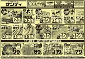 すべての人のための魅力的な特別オファー