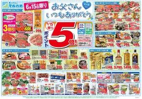 マルハチのカタログ | 2025年06月15日-17日 | 2025-06-14T00:00:00.000Z - 2025-06-17T00:00:00.000Z
