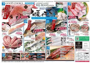 神戸市でのビッグビーンズのカタログ | 芦屋店 | 2025-06-19T00:00:00.000Z - 2025-06-23T00:00:00.000Z