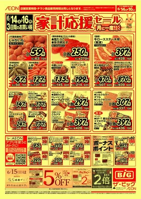 松山市でのザ・ビッグのカタログ | 私たちのお客様のための排他的な取引 | 2025-06-14T00:00:00.000Z - 2025-06-16T00:00:00.000Z