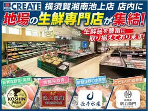 横須賀市でのクリエイトのカタログ | クリエイト チラシ | 2025-06-14T00:00:00.000Z - 2025-06-23T00:00:00.000Z