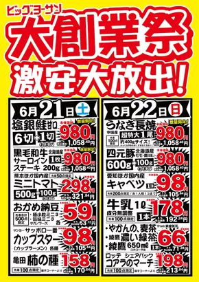 綾瀬市でのビッグヨーサンのカタログ | ビッグヨーサン チラシ | 2025-06-16T00:00:00.000Z - 2025-06-22T00:00:00.000Z