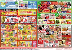 入間郡でのいなげやのカタログ | 現在の特別プロモーション | 2025-06-18T00:00:00.000Z - 2025-06-24T00:00:00.000Z