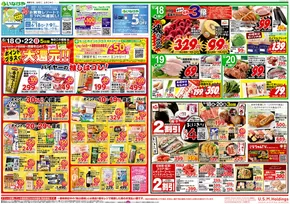 入間郡でのいなげやのカタログ | 発見するための新しいオファー | 2025-06-18T00:00:00.000Z - 2025-06-24T00:00:00.000Z