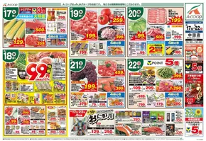 エーコープ関東のカタログ | 掘り出し物ハンターのためのオファー | 2025-06-17T00:00:00.000Z - 2025-06-22T00:00:00.000Z