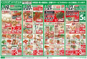 伊具郡でのみやぎ生活協同組合のカタログ | チラシ | 2025-06-19T00:00:00.000Z - 2025-06-22T00:00:00.000Z