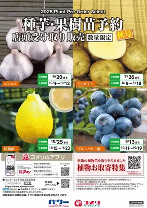 津山市でのコメリのカタログ | 種芋・果樹苗予約　秋号 | 2025-06-18T00:00:00.000Z - 2025-10-25T00:00:00.000Z