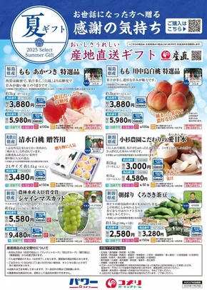 夏ギフト