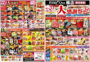 熊本市での鶴屋フーディワンのカタログ | 鶴屋フーディワン チラシ | 2025-06-20T00:00:00.000Z - 2025-06-24T00:00:00.000Z