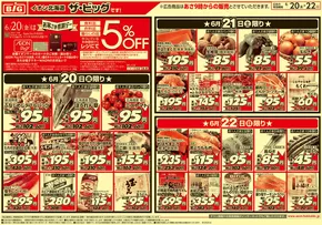 帯広市でのザ・ビッグのカタログ | すべてのお客様のための素晴らしいオファー | 2025-06-19T00:00:00.000Z - 2025-06-23T00:00:00.000Z