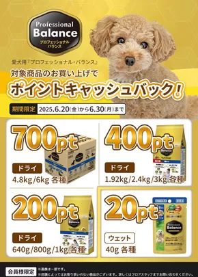 ひごペットフレンドリーのカタログ | ひごペットフレンドリー チラシ | 2025-06-20T00:00:00.000Z - 2025-06-30T00:00:00.000Z