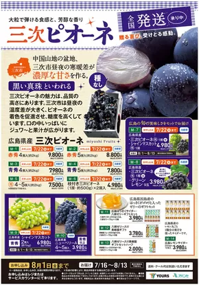 広島市でのユアーズ・丸和のカタログ | 私たちのお客様のための排他的な取引 | 2025-06-21T00:00:00.000Z - 2025-08-01T00:00:00.000Z