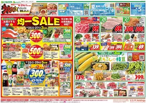 入間郡でのいなげやのカタログ | 割引とプロモーション | 2025-06-25T00:00:00.000Z - 2025-07-01T00:00:00.000Z