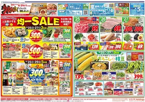 東村山市でのいなげやのカタログ | 排他的な掘り出し物 | 2025-06-25T00:00:00.000Z - 2025-07-01T00:00:00.000Z