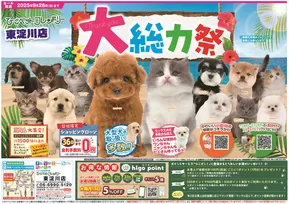 ひごペットフレンドリーのカタログ | すべてのお客様のためのトップディール | 2025-06-27T00:00:00.000Z - 2025-09-28T00:00:00.000Z