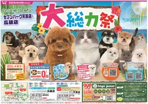 ひごペットフレンドリーのカタログ | 現在の掘り出し物とオファー | 2025-06-27T00:00:00.000Z - 2025-09-28T00:00:00.000Z
