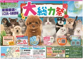 ひごペットフレンドリーのカタログ | トップディールと割引 | 2025-06-27T00:00:00.000Z - 2025-09-28T00:00:00.000Z