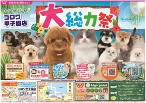 ひごペットフレンドリーのカタログ | 私たちのお客様のための排他的な取引 | 2025-06-27T00:00:00.000Z - 2025-09-28T00:00:00.000Z
