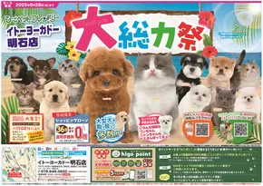 神戸市でのひごペットフレンドリーのカタログ | すべての掘り出し物ハンターのためのトップオファー | 2025-06-27T00:00:00.000Z - 2025-09-28T00:00:00.000Z