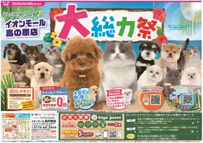 尼崎市でのひごペットフレンドリーのカタログ | 豊富なオファーの選択 | 2025-06-27T00:00:00.000Z - 2025-09-28T00:00:00.000Z