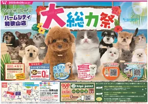 神戸市でのひごペットフレンドリーのカタログ | あなたのための私たちの最高の取引 | 2025-06-27T00:00:00.000Z - 2025-09-28T00:00:00.000Z