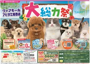 神戸市でのひごペットフレンドリーのカタログ | すべてのお客様のための素晴らしいオファー | 2025-06-27T00:00:00.000Z - 2025-09-28T00:00:00.000Z
