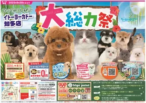 神戸市でのひごペットフレンドリーのカタログ | 現在の取引とオファー | 2025-06-27T00:00:00.000Z - 2025-09-28T00:00:00.000Z