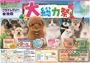 神戸市でのひごペットフレンドリーのカタログ | 発見するための新しいオファー | 2025-06-27T00:00:00.000Z - 2025-09-28T00:00:00.000Z
