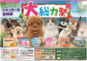安来市でのひごペットフレンドリーのカタログ | 選ばれた製品の素晴らしい割引 | 2025-06-27T00:00:00.000Z - 2025-09-28T00:00:00.000Z