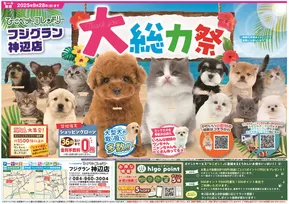 安来市でのひごペットフレンドリーのカタログ | あなたのための私たちの最高の取引 | 2025-06-27T00:00:00.000Z - 2025-09-28T00:00:00.000Z
