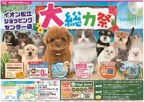安来市でのひごペットフレンドリーのカタログ | 私たちのお客様のための排他的な取引 | 2025-06-27T00:00:00.000Z - 2025-09-28T00:00:00.000Z