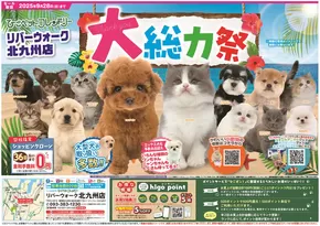 安来市でのひごペットフレンドリーのカタログ | 排他的な掘り出し物 | 2025-06-27T00:00:00.000Z - 2025-09-28T00:00:00.000Z